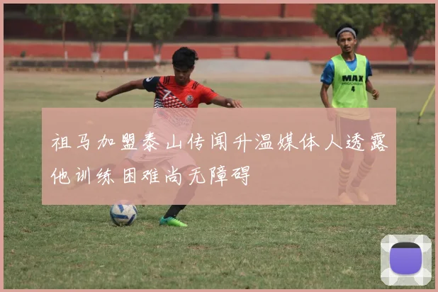 祖马加盟泰山传闻升温媒体人透露他训练困难尚无障碍