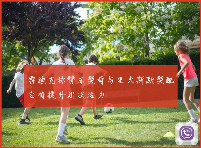 雷迪克称赞东契奇与里夫斯默契配合将提升进攻活力