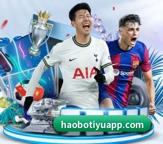 五大体育板块覆盖,从比分到直播全覆盖 | HaoBo
